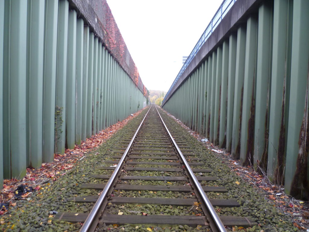 P1000355 P1000355 1024x768